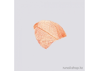 Сухие листья для дизайна ногтей (оранжевый)